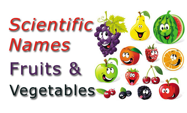 scientific-names-common-fruits-and-vegetables-checkall-in