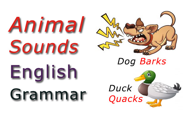 Animal Sounds List - English Grammar - Learn English - CheckAll.in