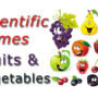 Scientific Names – Common Fruits and Vegetables