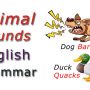 Animal Sounds List – English Grammar – Learn English