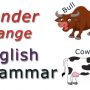 Learn English – Gender Change Animals, Birds etc – Masculine and Feminine Nouns