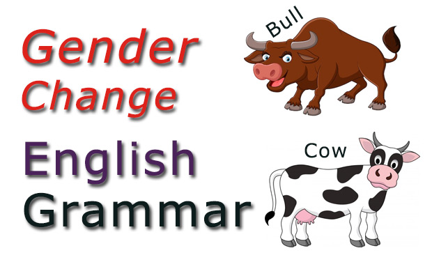 Learn English - Gender Change Animals, Birds etc - Masculine and Feminine  Nouns 