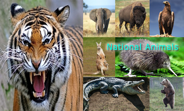 Countries and Their National Animals - National Animals of the World -  