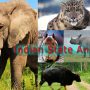 State Animals List of India