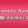Scientific Names – Animals – Domestic and Wild