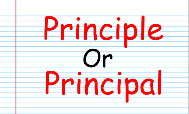 Principal or Principle - another set of homo phonic words to be confused like let's or lets
