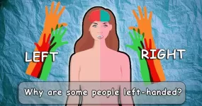 Why some people are left handed?