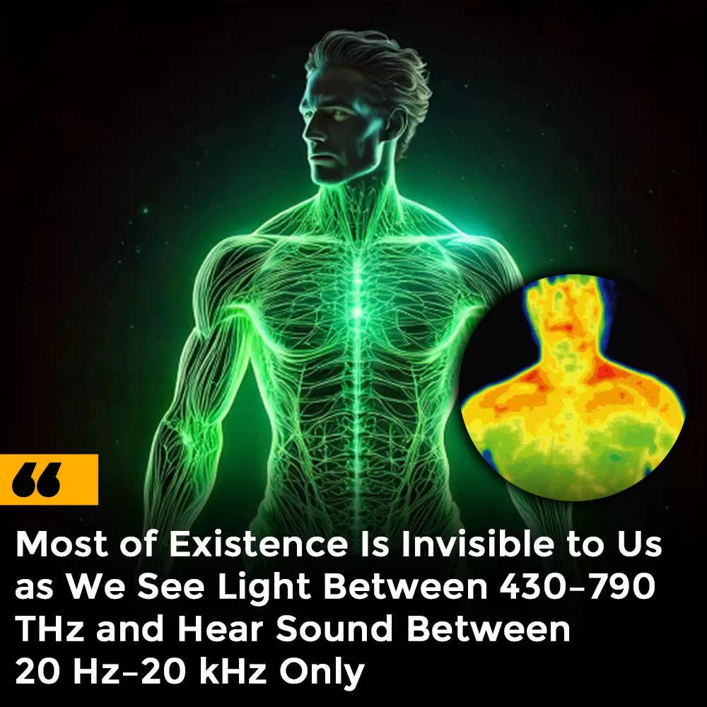 Illustration of visible light and sound limits in human perception of the universe